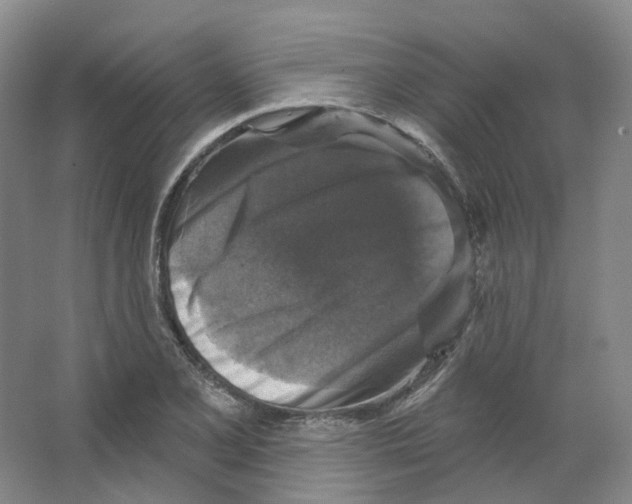 X0000066511077200604141742