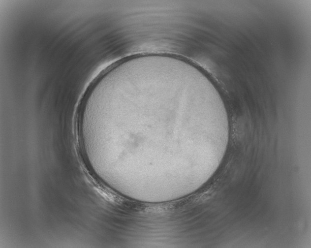 X0000066511078200604141742