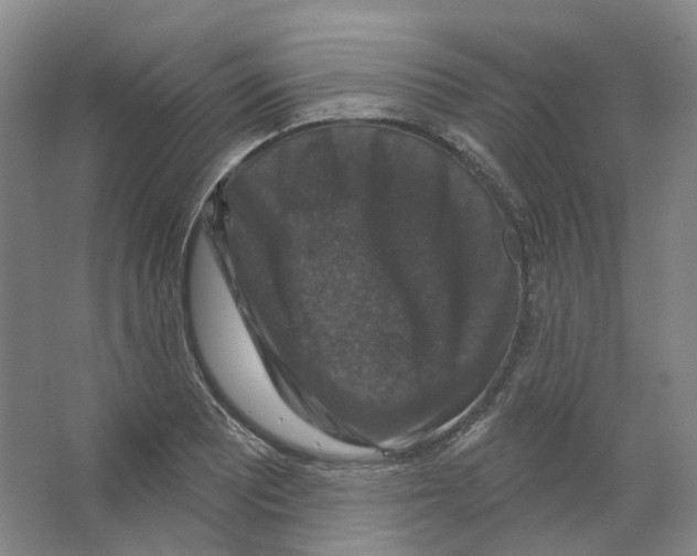 X0000066511081200604141742