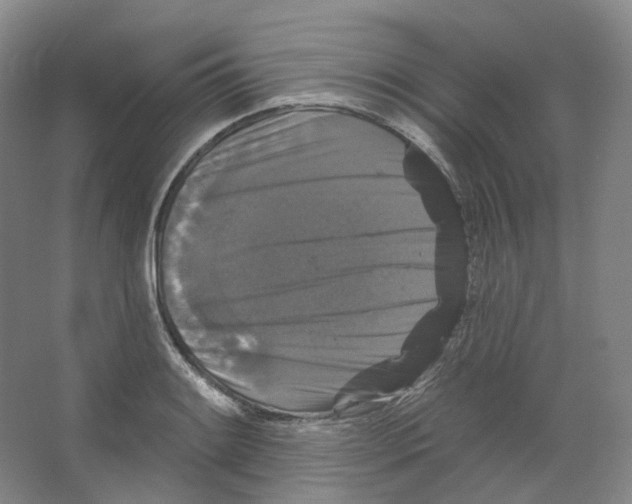 X0000066511084200604141742