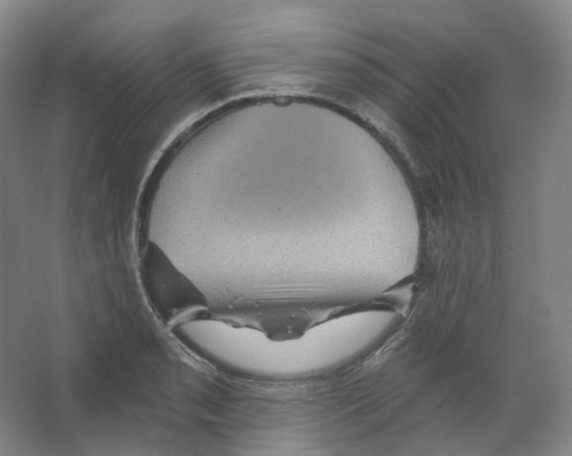X0000066511085200604141742