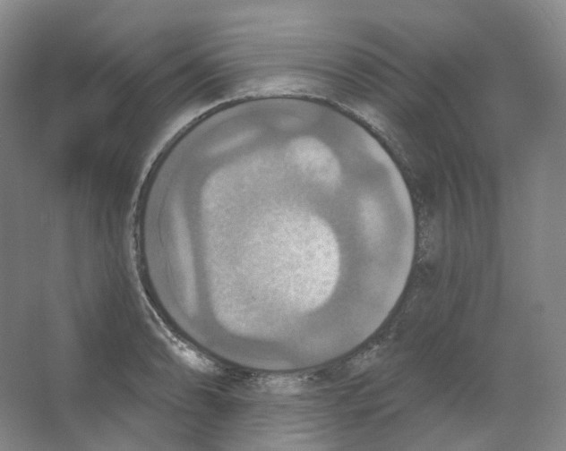 X0000066511086200604141742