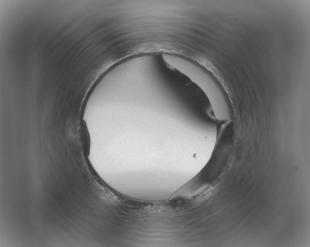 X0000066511089200604141742