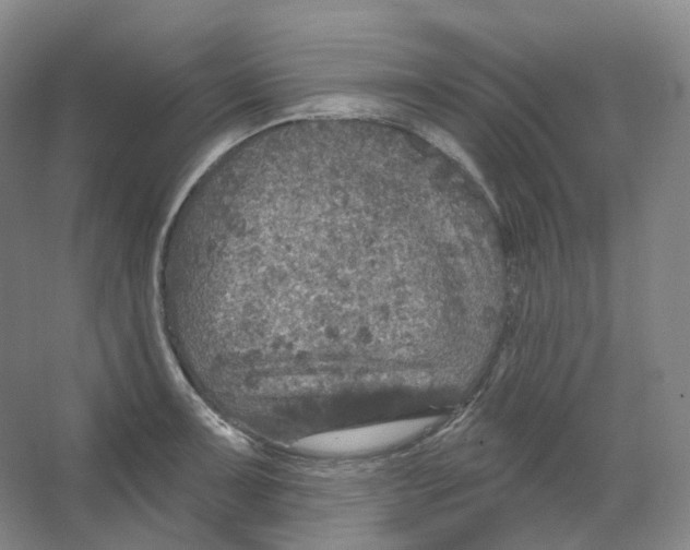 X0000066511091200604141742
