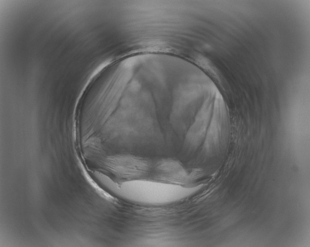 X0000066511095200604141742