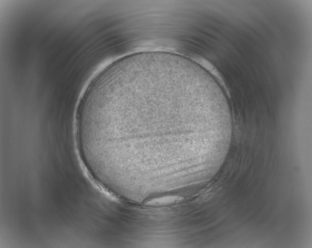 X0000066511096200604141742