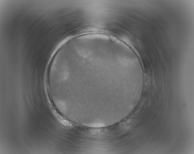 X0000066511098200604141742