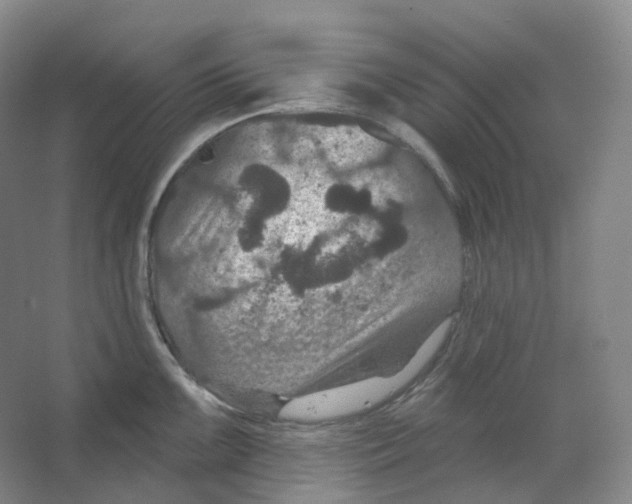 X0000066511099200604141742