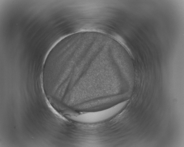 X0000066511100200604141742