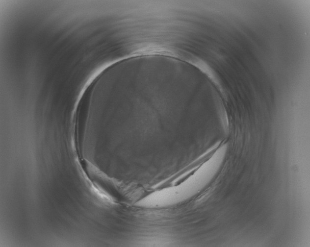 X0000066511102200604141742