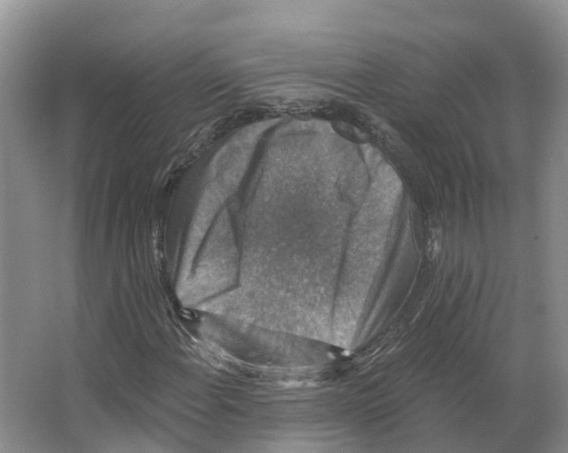 X0000066511108200604141741