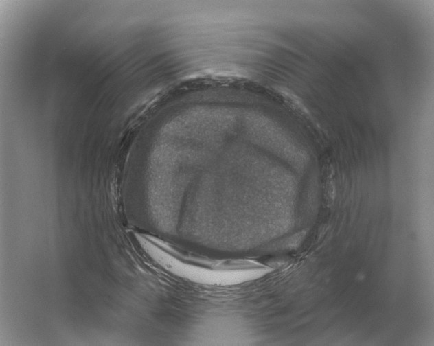 X0000066511110200604141741