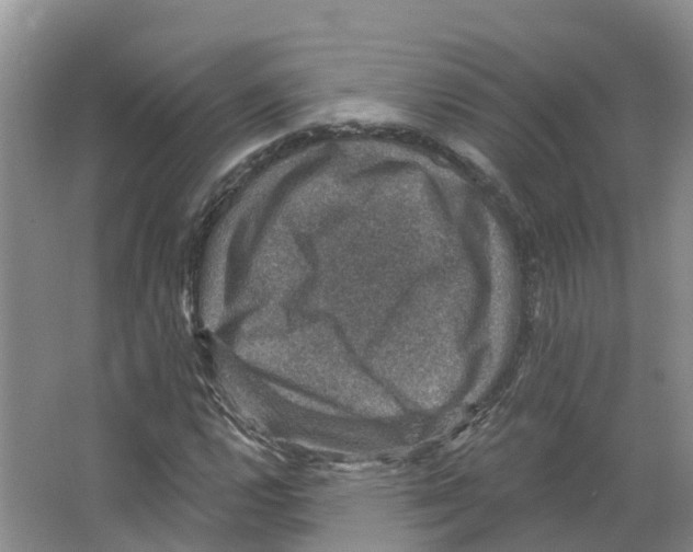 X0000066511112200604141741