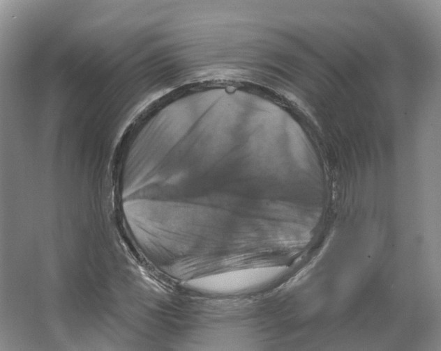 X0000066511117200604141741