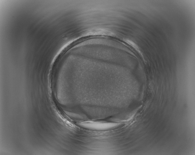X0000066511120200604141741