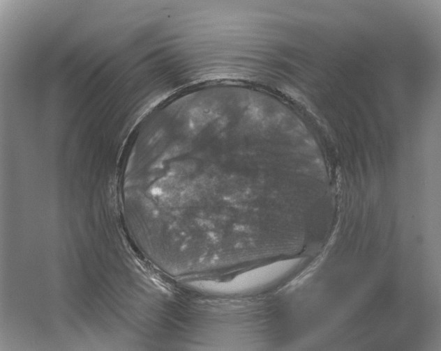 X0000066511121200604141741