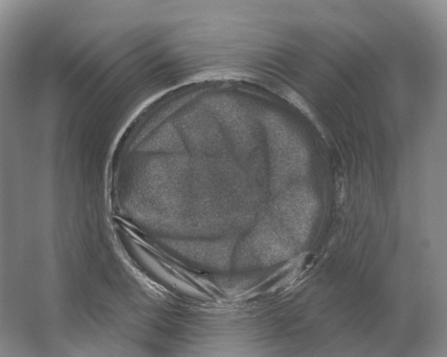 X0000066511124200604141741