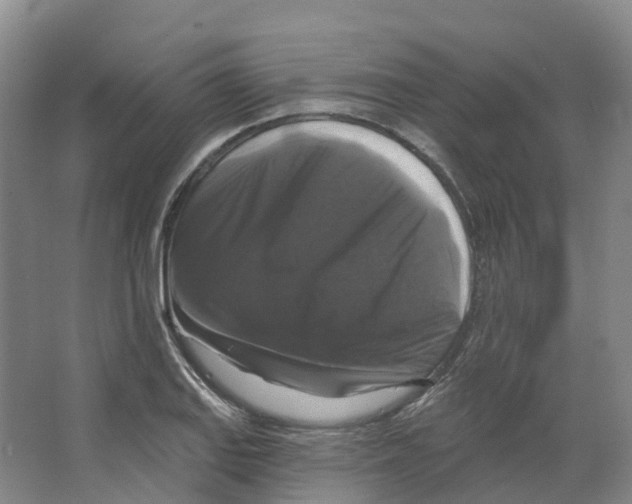 X0000066511127200604141741