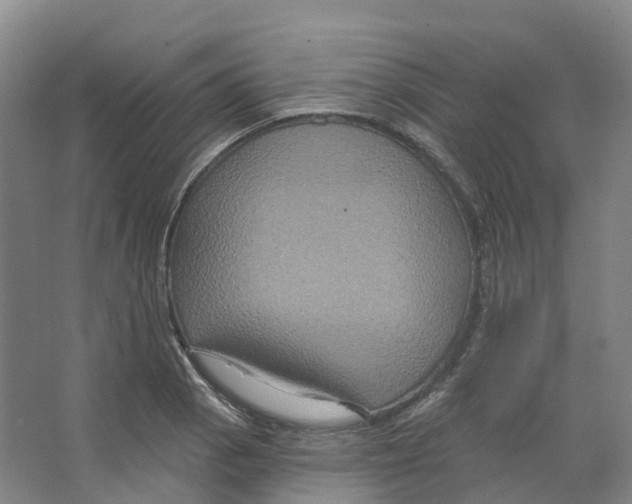 X0000066511129200604141741