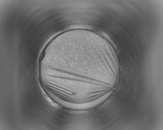 X0000066511140200604141741