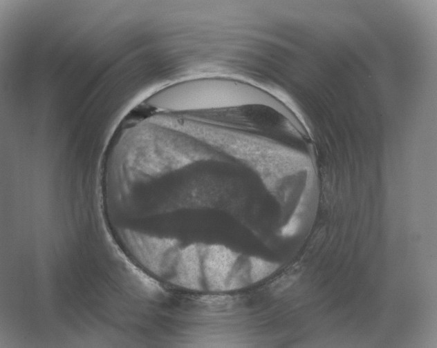 X0000066511142200604141741