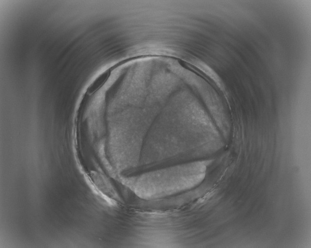 X0000066511144200604141741