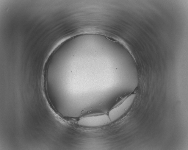 X0000066511147200604141741