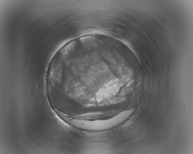 X0000066511151200604141741