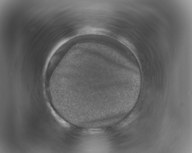 X0000066511152200604141741