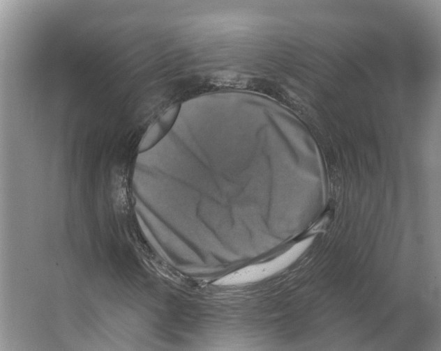 X0000066511154200604141741