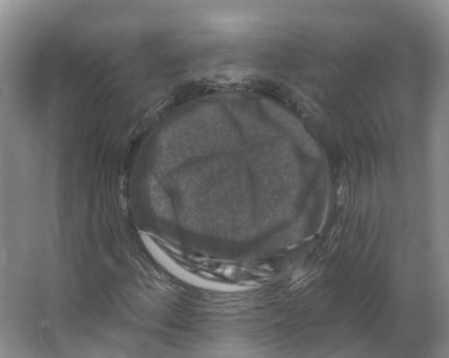 X0000066511156200604141741