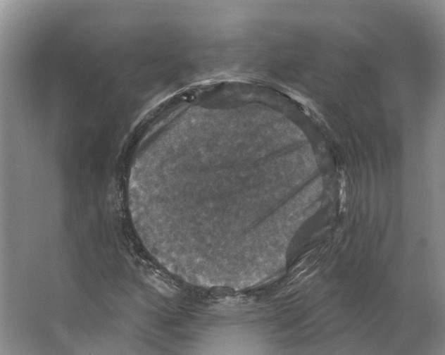 X0000066511160200604141741