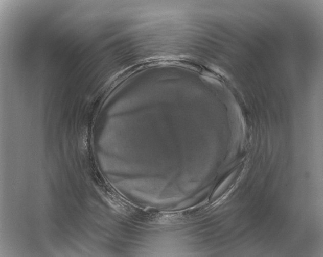 X0000066511161200604141741