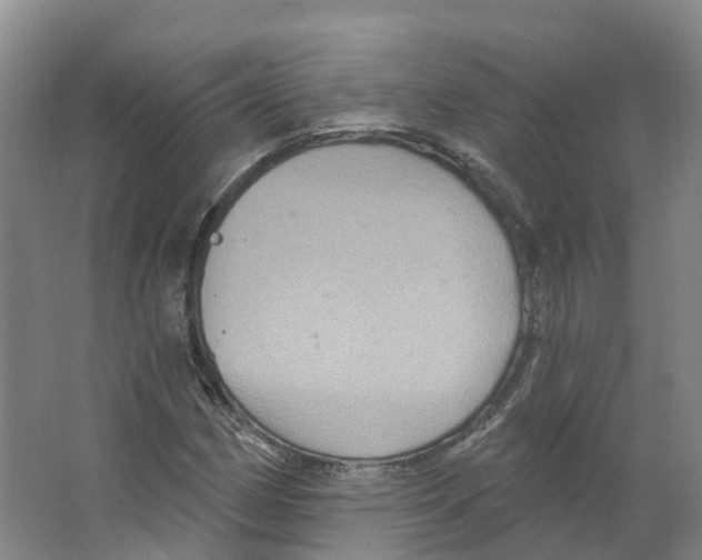 X0000066511162200604141741