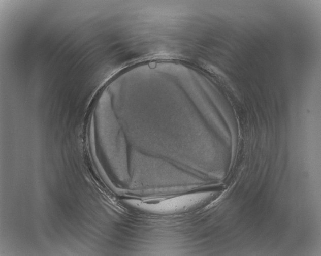 X0000066511170200604141740