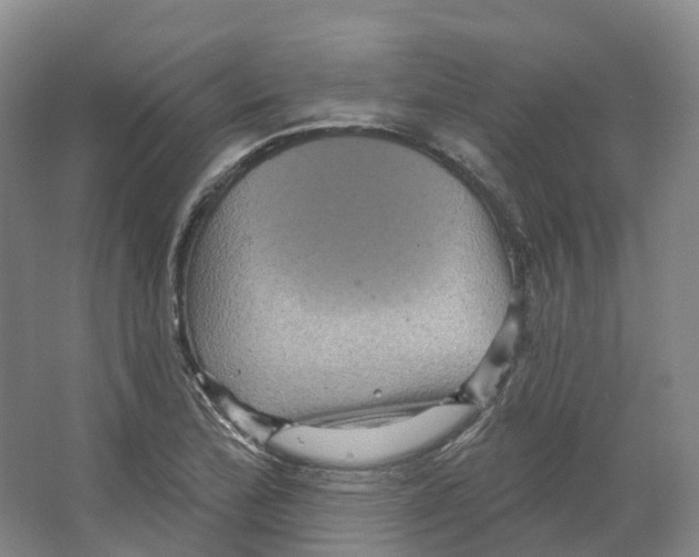 X0000066511172200604141740