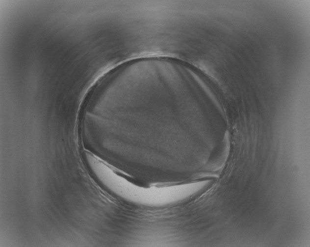 X0000066511173200604141740