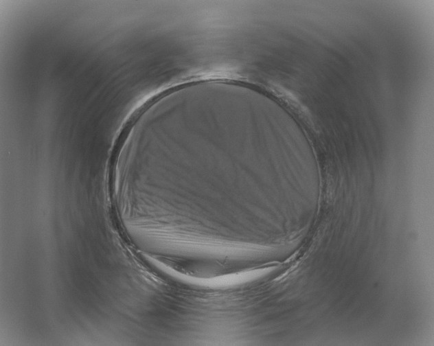 X0000066511174200604141740