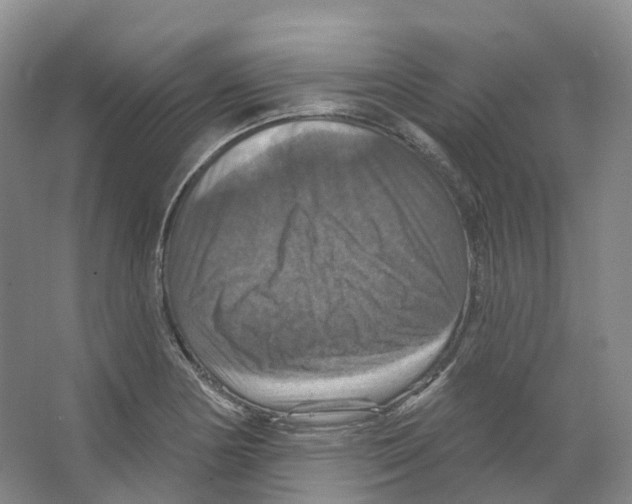 X0000066511178200604141740