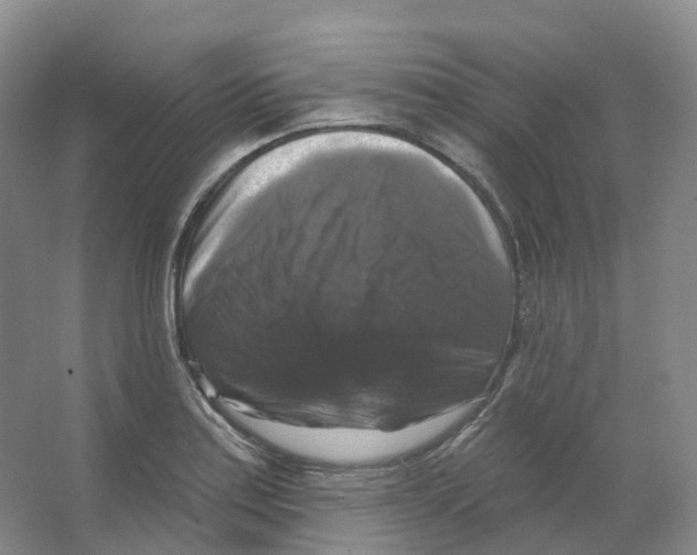 X0000066511179200604141740