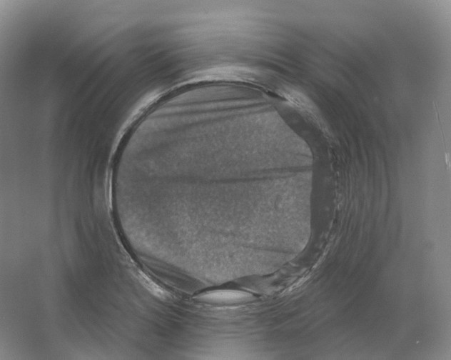 X0000066511180200604141740