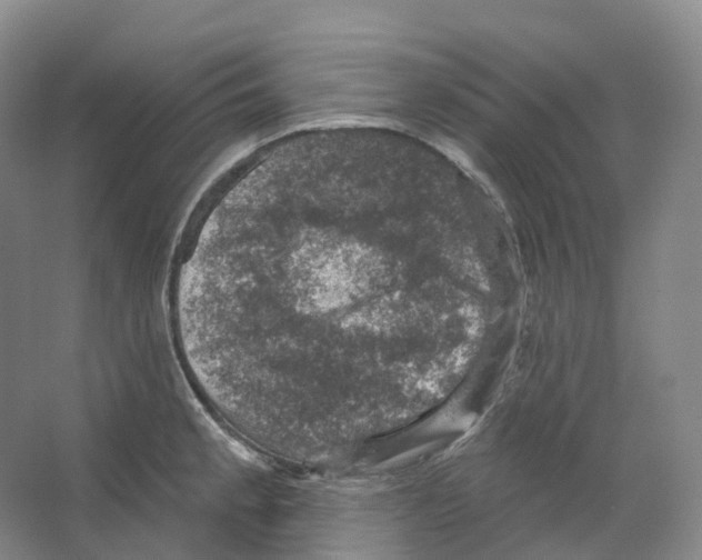 X0000066511189200604141740