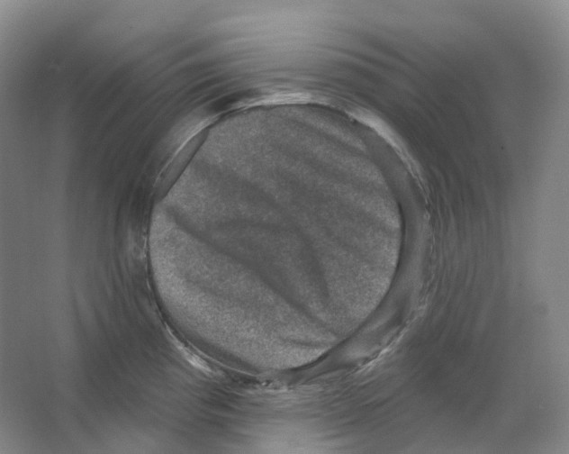 X0000066511193200604141740