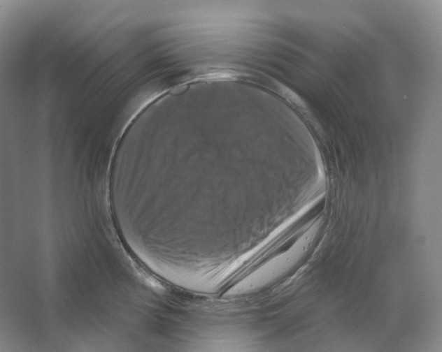 X0000066511194200604141740