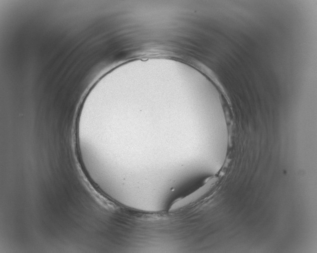 X0000066511195200604141740