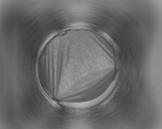 X0000066511196200604141740