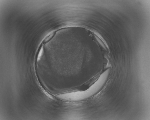 X0000066511197200604141740