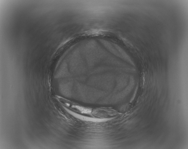 X0000066511206200604141739