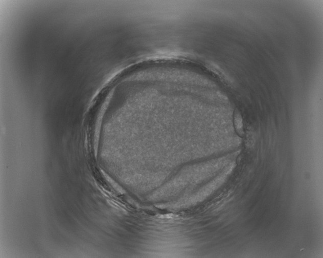 X0000066511208200604141739
