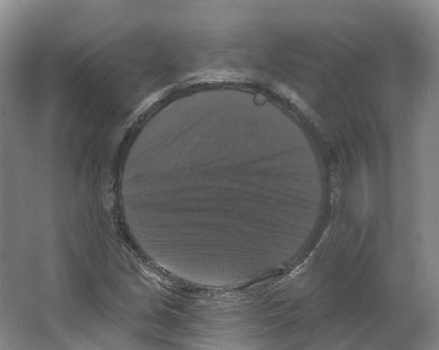X0000066511213200604141739